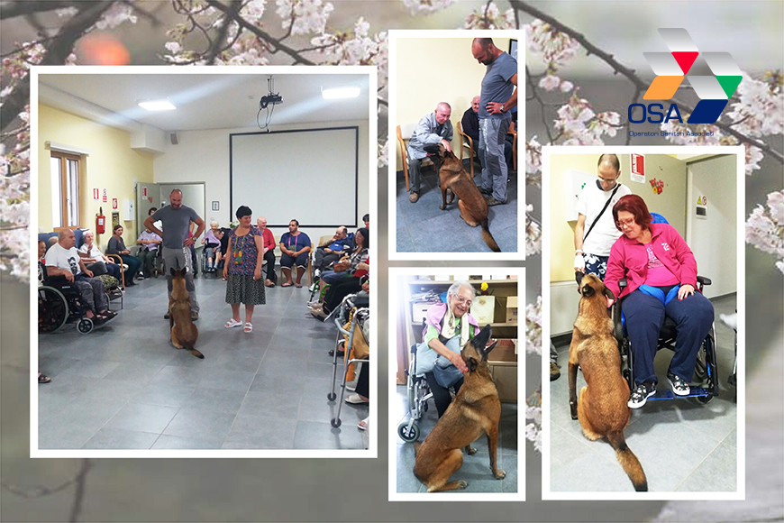 Alla RSSA Mesagne divertimento ed emozioni con la pet therapy