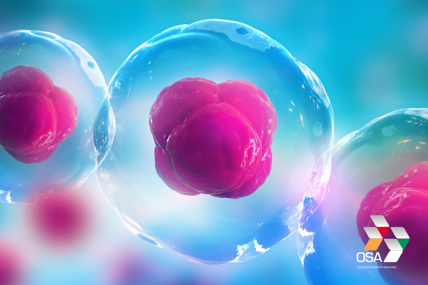 Creare delle nanomolecole per attaccare le cause dell’Alzheimer