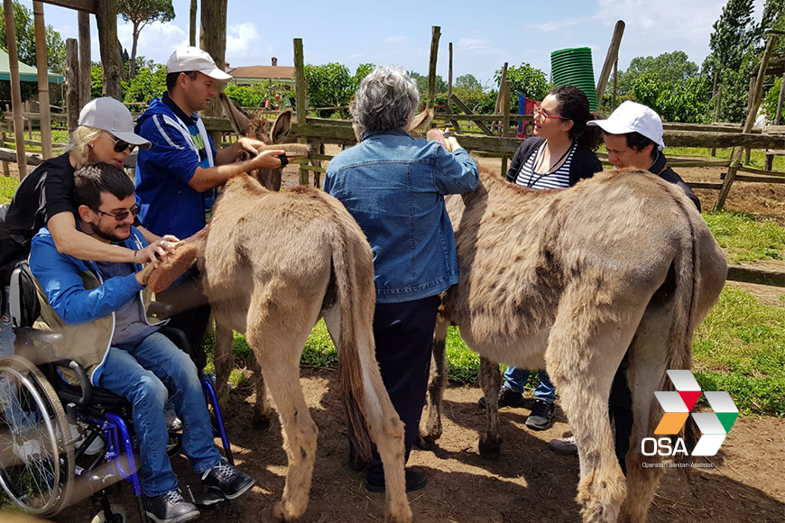 Visita alla fattoria sociale per gli ospiti del Centro Le Tamerici